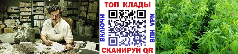 Виды наркотиков купить Чехов Cocaine  Alpha-PVP  Каннабис  АМФЕТАМИН  ГАШИШ 