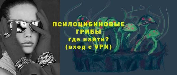 ECSTASY Дмитриев