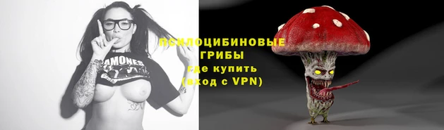 jwh Дмитров