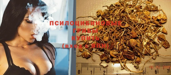 jwh Дмитров