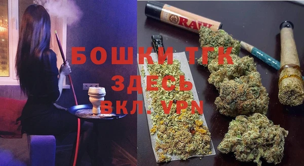ECSTASY Дмитриев